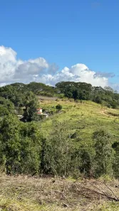 Fazenda / Sítio / Chácara com 2 Quartos à venda, 1000m² no Saboó, São Roque