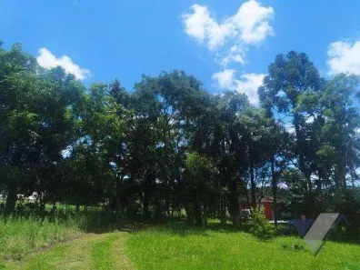 Fazenda / Sítio / Chácara à venda, 10000m² no Loteamento Jardim Real, Guaraniaçu