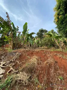 Fazenda / Sítio / Chácara à venda, 2499m² no Condomínio Horizontal Marajoara, Ibiporã
