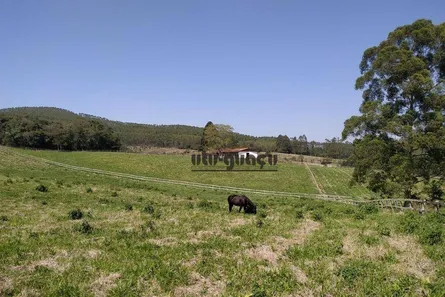 Fazenda / Sítio / Chácara à venda, 556600m² no , Piedade