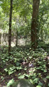 Terreno / Lote / Condomínio à venda, 583m² no Maresias, São Sebastião