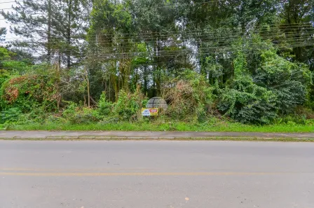 Terreno / Lote / Condomínio à venda, 4545m² no Colonia Santa Gabriela, Almirante Tamandaré
