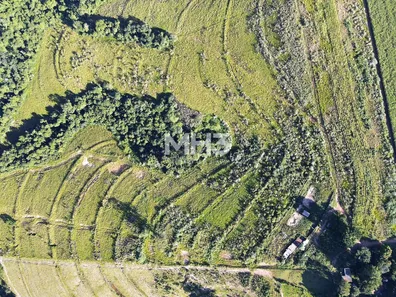 Fazenda / Sítio / Chácara com 2 Quartos à venda, 80m² no Loteamento S Jose, Capivari