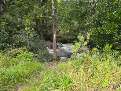 Fazenda / Sítio / Chácara à venda, 37000m² no Brazlândia, Brasília