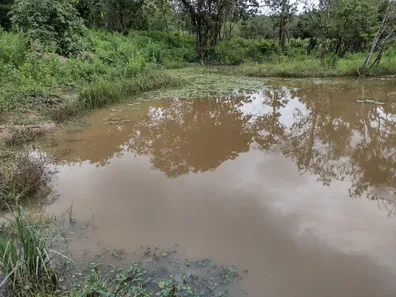 Terreno / Lote / Condomínio à venda, 20000m² no , Fortuna de Minas
