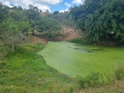 Fazenda / Sítio / Chácara com 3 Quartos à venda, 14000000m² no Riachão, Caruaru