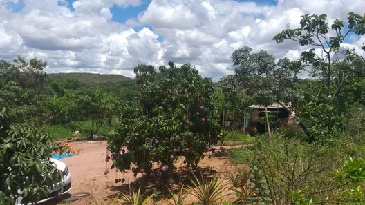 Fazenda / Sítio / Chácara com 2 Quartos à venda, 20000m² no , Brasília