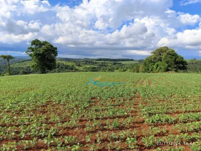 Fazenda / Sítio / Chácara à venda, 219000m² no , Catanduvas
