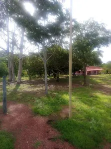 Fazenda / Sítio / Chácara com 4 Quartos à venda, 700m² no , Padre Bernardo