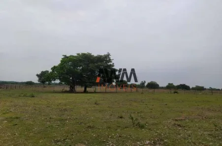 Fazenda / Sítio / Chácara à venda, 6872800m² no Centro, Cristalândia