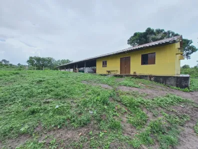Fazenda / Sítio / Chácara com 11 Quartos à venda, 12800m² no , Pombos