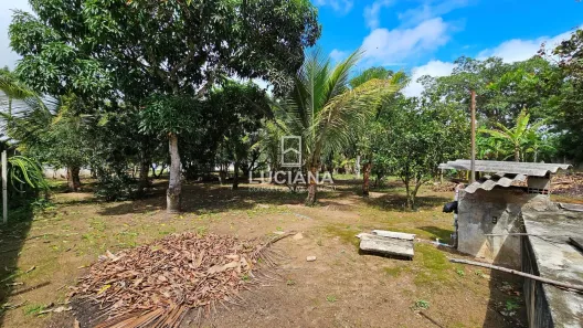 Fazenda / Sítio / Chácara com 5 Quartos à venda, 350m² no Santana, Gravatá