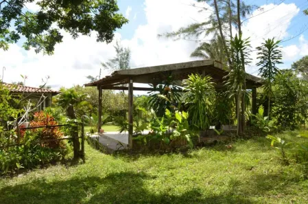Fazenda / Sítio / Chácara com 4 Quartos à venda, 40000m² no Conde, Conde