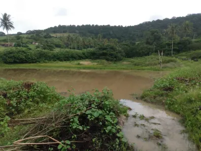 Fazenda / Sítio / Chácara com 7 Quartos à venda, 240000m² no Matriz, Vitória de Santo Antão
