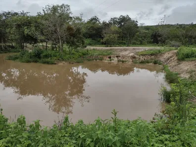 Fazenda / Sítio / Chácara à venda, 20000m² no , Fortuna de Minas