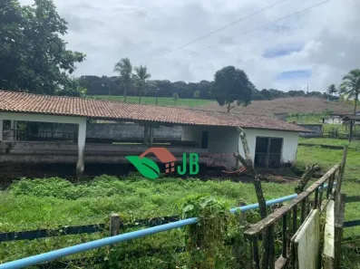 Fazenda / Sítio / Chácara com 3 Quartos à venda, 250m² no Povoado, Alhandra