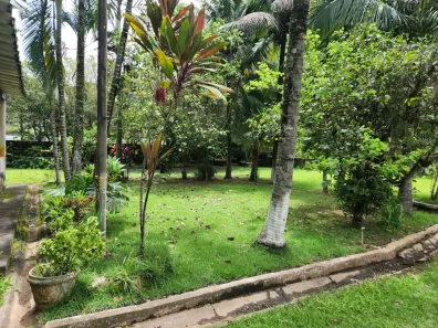 Fazenda / Sítio / Chácara com 2 Quartos à venda, 10000m² no São Judas Tadeu, Barra Mansa