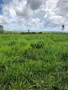 Fazenda / Sítio / Chácara à venda, 51691200m² no , Arapoema