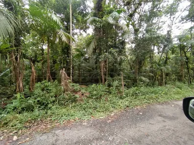 Terreno / Lote / Condomínio à venda, 5000m² no Jardim Ouro Fino, Paranaguá