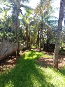 Fazenda / Sítio / Chácara com 4 Quartos à venda, 236m² no Alvorada do Sul, Alvorada do Sul