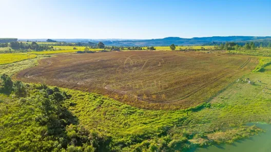 Fazenda / Sítio / Chácara com 1 Quarto à venda, 456017m² no Centro, Ponta Grossa