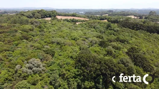 Fazenda / Sítio / Chácara à venda, 23475m² no Porto das Laranjeiras, Araucária