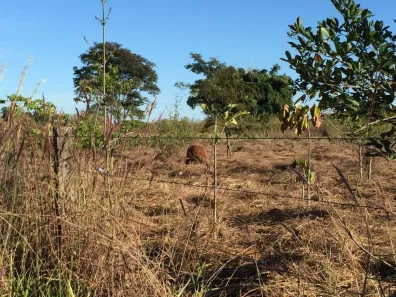 Fazenda / Sítio / Chácara à venda, 20000m² no Núcleo Rural Lago Oeste, Brasília
