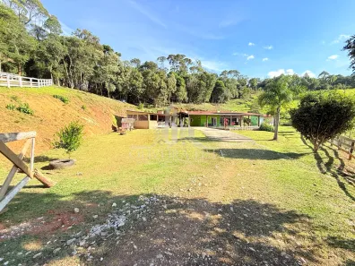 Fazenda / Sítio / Chácara com 3 Quartos à venda, 20000m² no Palmitalzinho, Quatro Barras