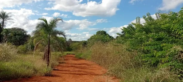 Terreno / Lote / Condomínio à venda, 20000m² no Park Way, Brasília