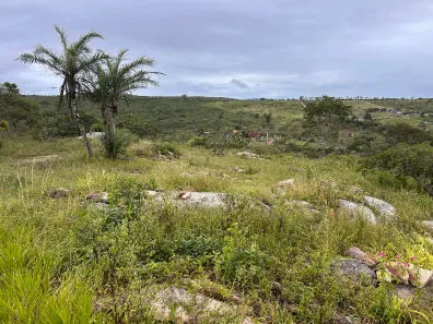 Fazenda / Sítio / Chácara à venda, 7200m² no , Sairé