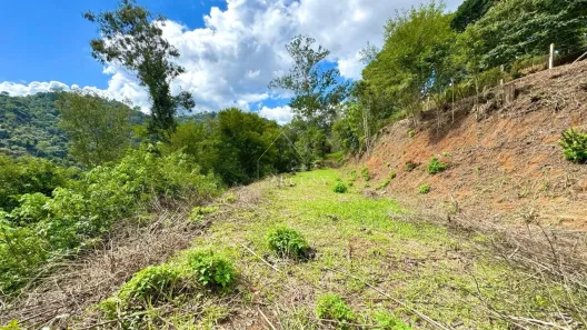 Terreno / Lote / Condomínio à venda, 3900m² no Itaipava, Petrópolis