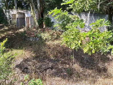 Fazenda / Sítio / Chácara com 2 Quartos à venda, 2721m² no Granja dos Cavaleiros, Macaé