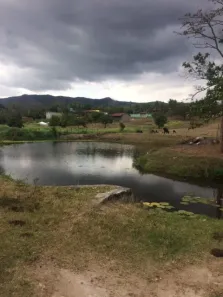 Fazenda / Sítio / Chácara com 4 Quartos à venda, 210m² no , Agrestina