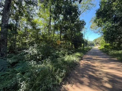 Fazenda / Sítio / Chácara à venda, 124000m² no Parque Nossa Senhora da Ajuda, Guapimirim