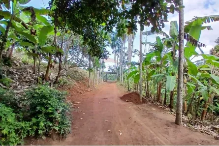 Fazenda / Sítio / Chácara com 2 Quartos à venda, 16200m² no , Bom Jardim