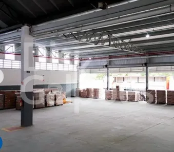 Galpão / Depósito / Armazém para alugar, 11000m² no Jardim Fátima, Guarulhos