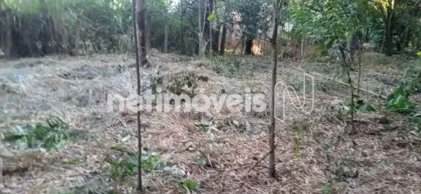 Fazenda / Sítio / Chácara à venda, 4800m² no Nossa Senhora da Paz II, São Joaquim de Bicas