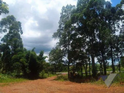 Fazenda / Sítio / Chácara à venda, 10000m² no Loteamento Jardim Real, Guaraniaçu
