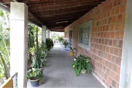 Fazenda / Sítio / Chácara com 3 Quartos à venda, 285m² no Coqueiro Seco, Coqueiro Seco