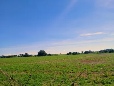 Fazenda / Sítio / Chácara com 3 Quartos à venda, 1920000m² no Planaltina, Brasília