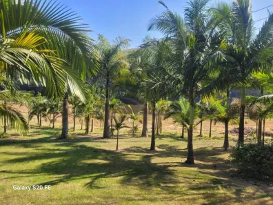 Fazenda / Sítio / Chácara à venda, 50000m² no , Piedade