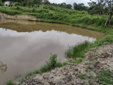 Fazenda / Sítio / Chácara à venda, 20000m² no , Fortuna de Minas