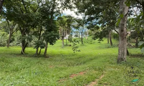 Terreno / Lote / Condomínio com 1 Quarto à venda, 2914m² no Residencial Aldeia do Vale, Goiânia
