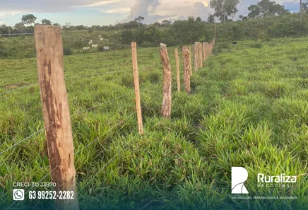 Fazenda / Sítio / Chácara à venda, 359m² no , Santa Maria do Tocantins