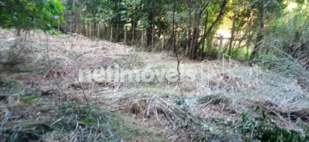 Fazenda / Sítio / Chácara à venda, 4800m² no Nossa Senhora da Paz II, São Joaquim de Bicas
