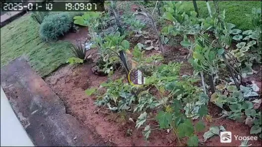 Fazenda / Sítio / Chácara com 2 Quartos à venda, 52m² no Cananeia, Pilar do Sul