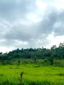 Terreno / Lote / Condomínio à venda, 1000m² no Saboó, São Roque