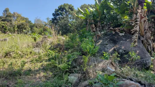 Fazenda / Sítio / Chácara à venda, 12040m² no , Piedade