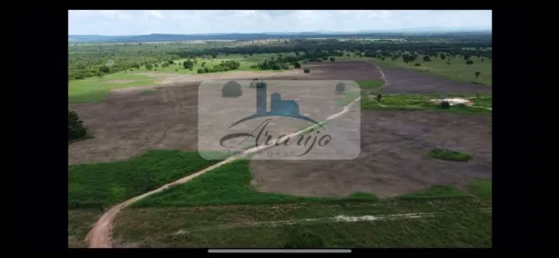 Fazenda / Sítio / Chácara com 4 Quartos à venda, 394m² no , Arapoema