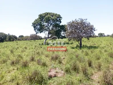 Fazenda / Sítio / Chácara à venda, 500m² no , Pium
